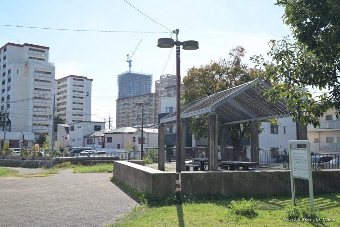 東川親水中公園