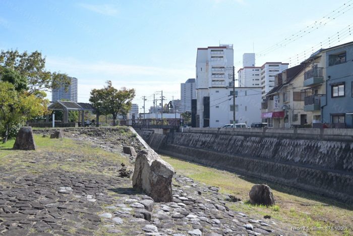 東川親水中公園