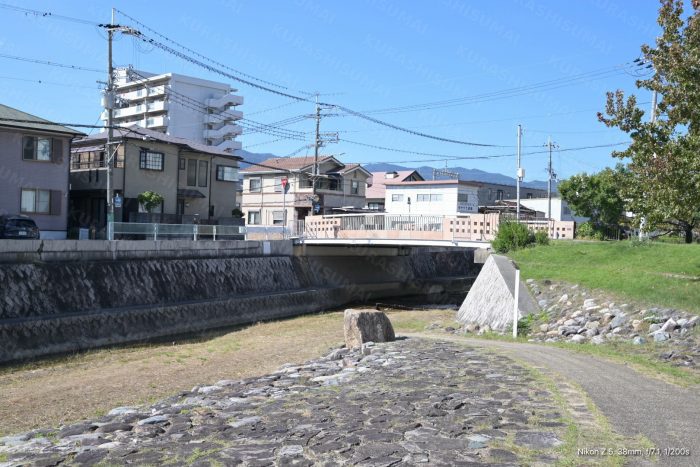 東川親水中公園