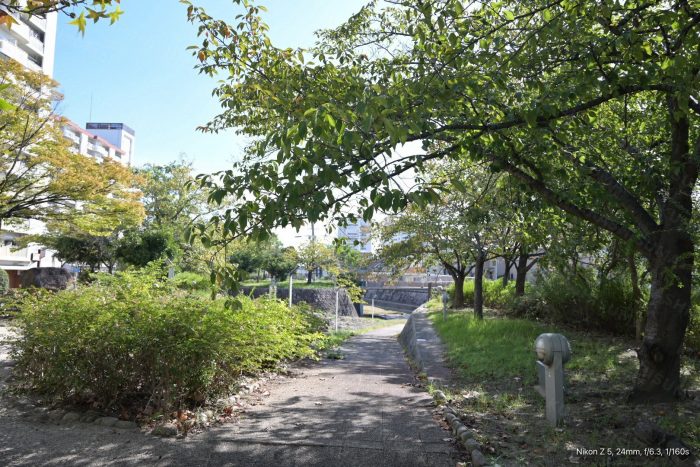 東川親水中公園