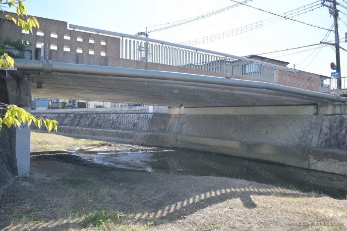 東川親水中公園