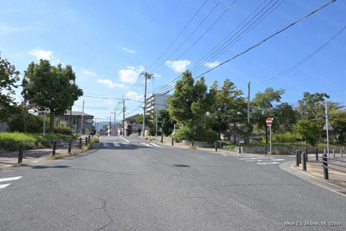 東川親水公園前道路