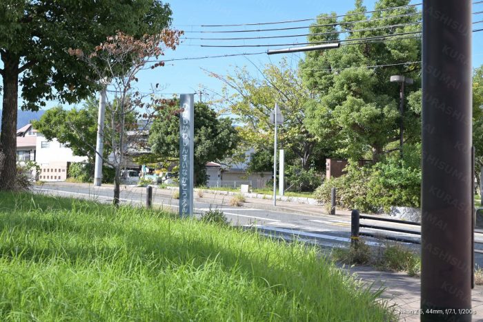 東川親水中公園