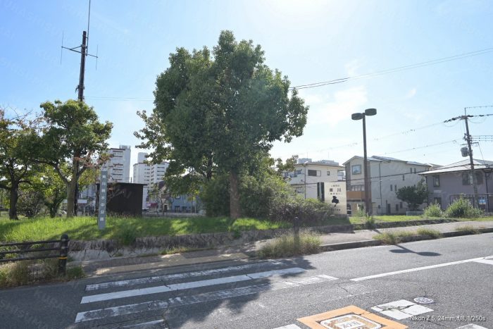 東川親水中公園
